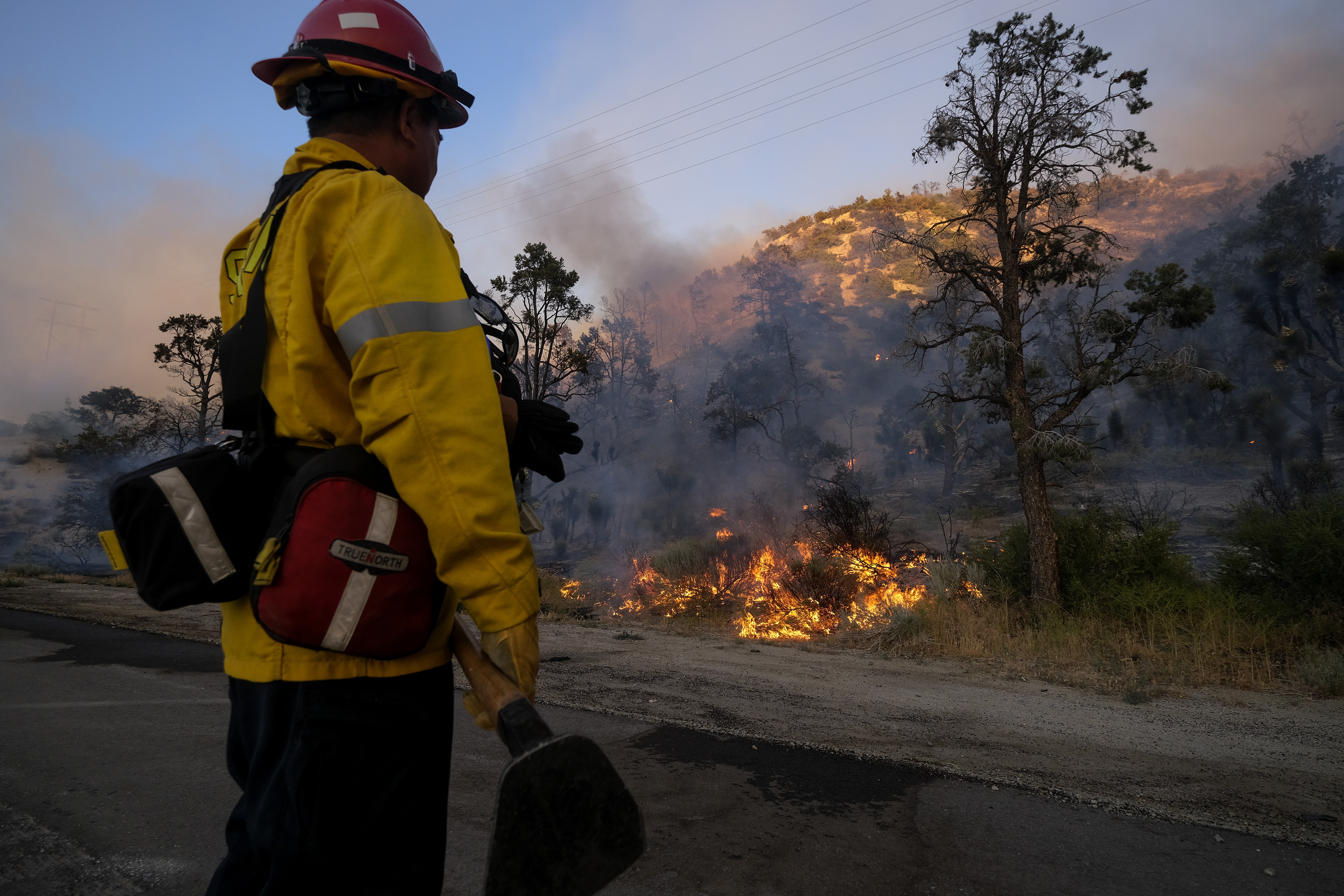 Evacuations for remote homes near wildfire northeast of LA - Vimarsana News
