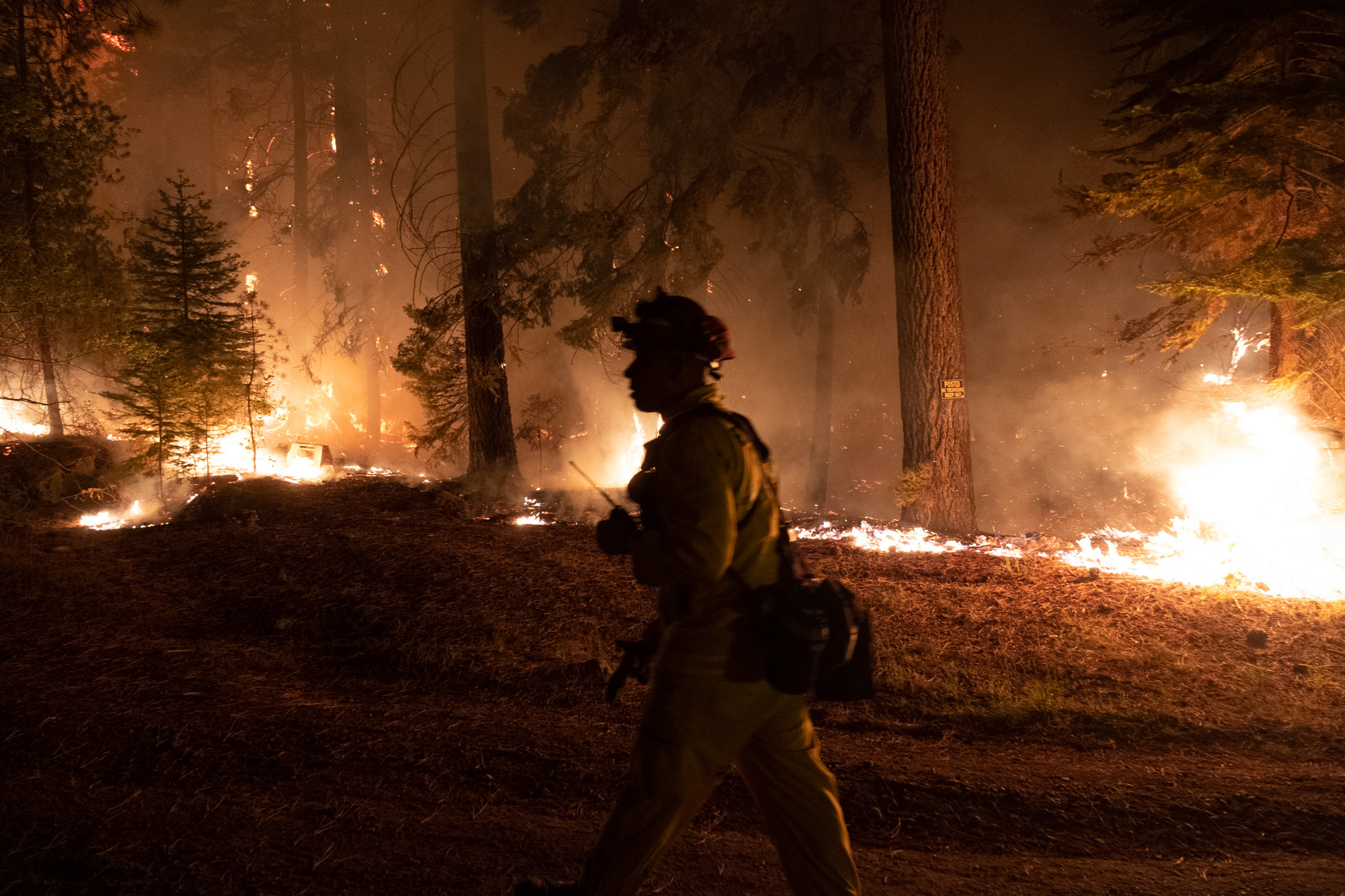 Cal Fire fumbles key responsibilities to prevent catastrophic wildfires despite historic budget - Vimarsana News