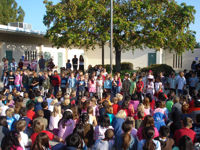 Choosing a school for your child? A new 'guide' can help - Vimarsana News