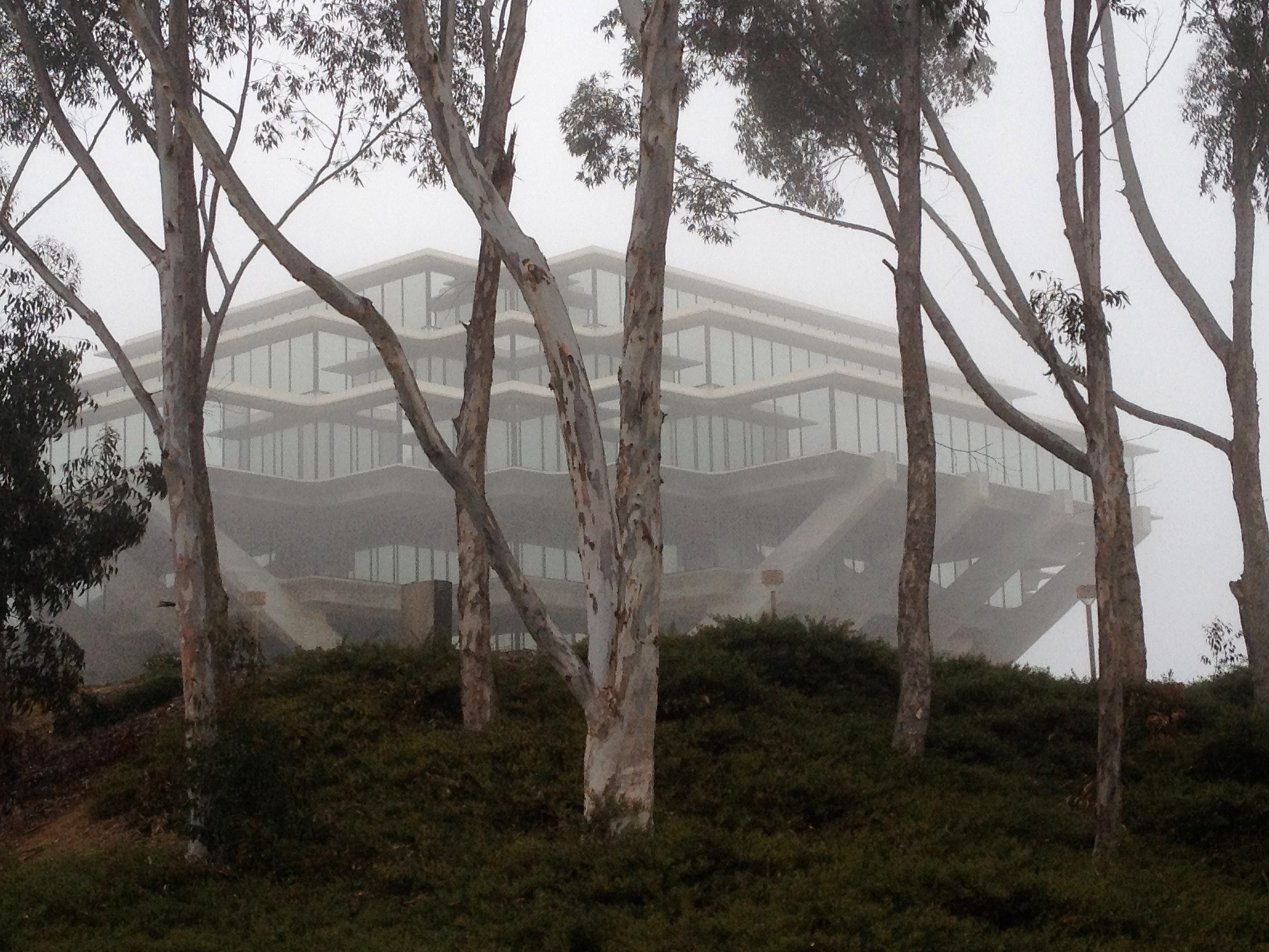 Lecturer's racist comments highlight problematic climate at UCSD - Vimarsana News
